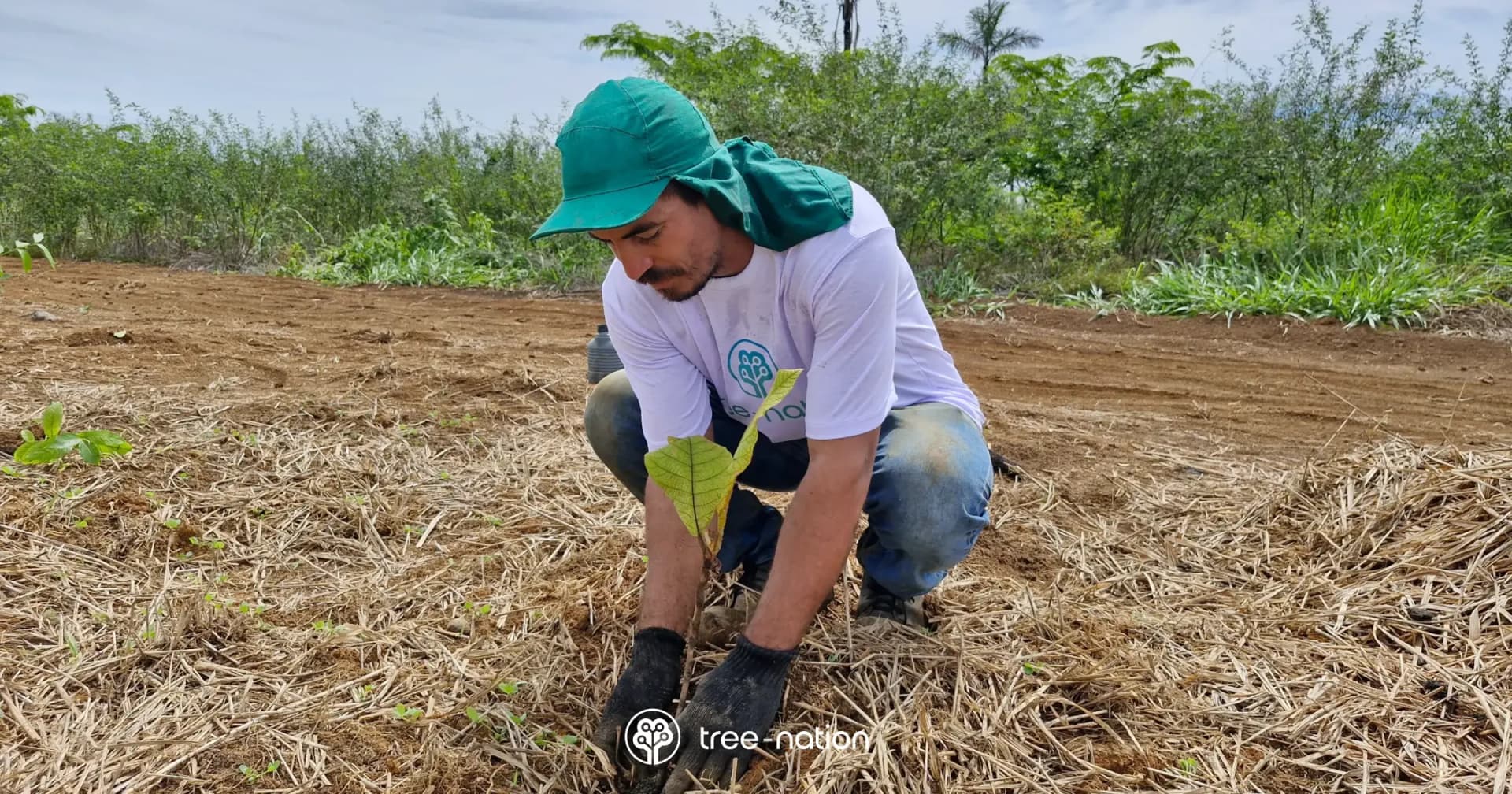 Progetto di riforestazione per compensare le emissioni digitali