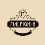 Soluzioni digitali ristorazione 124 Malpighi 8