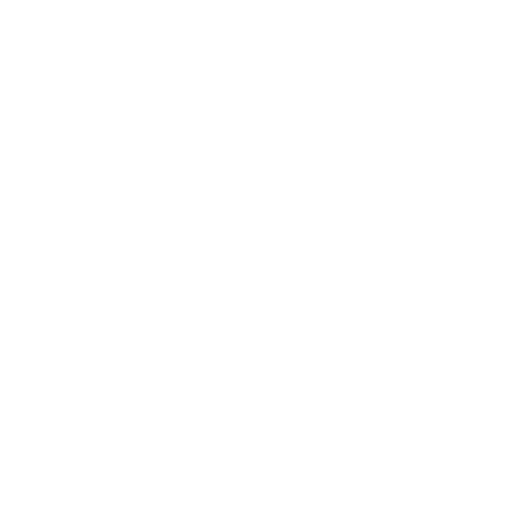 logo2 antoanelli